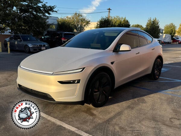 Tesla Model Y Juniper Satin Silver Color PPF – Gardena