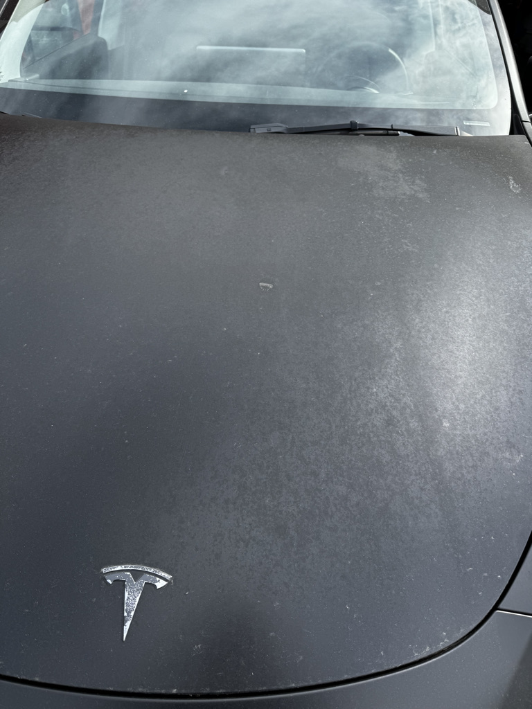 Five-year-old matte wrap with cloudy and chalky weathering across the hood